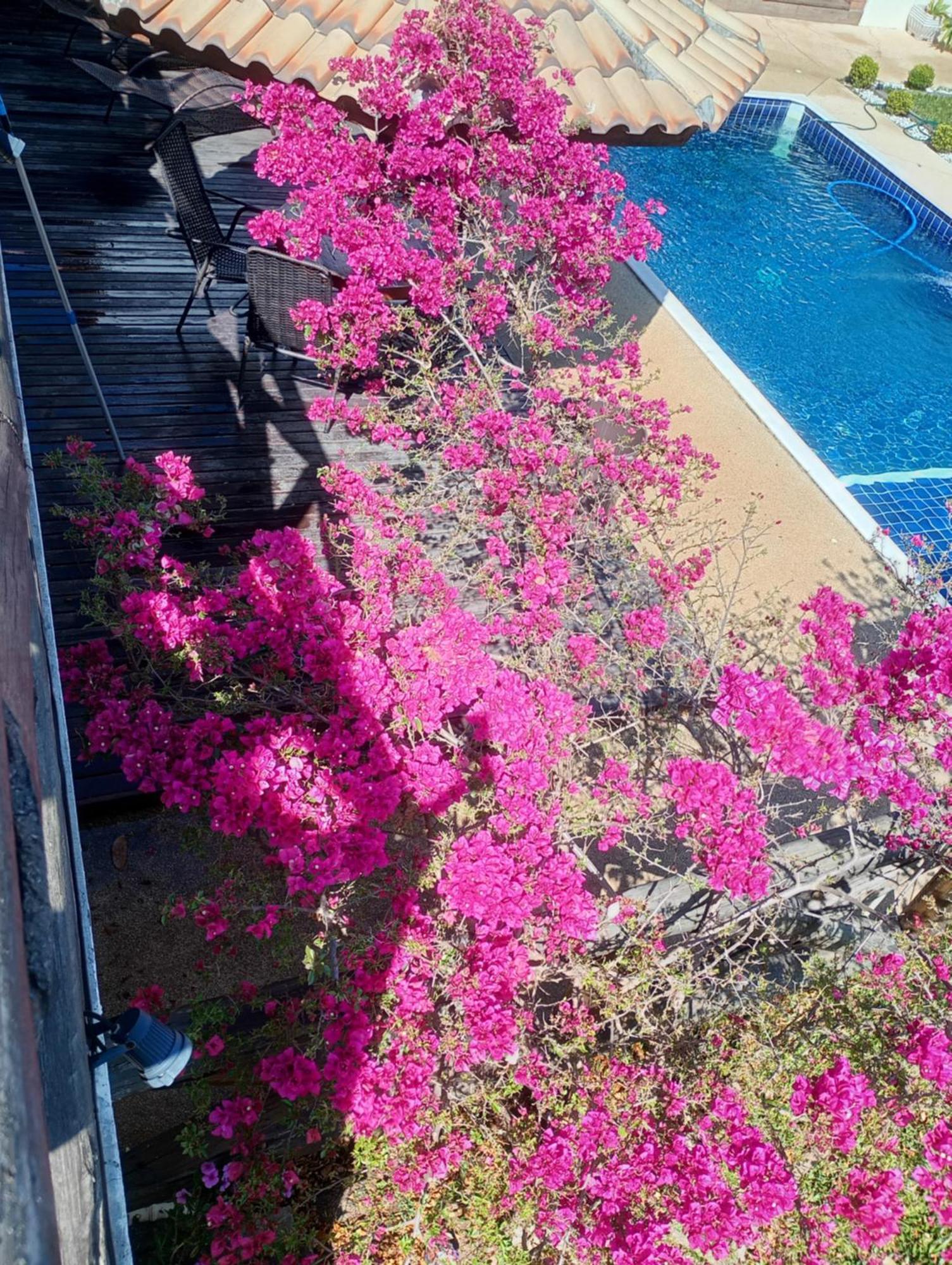 Villa Chacara Alto Padrao Em Igaratá Extérieur photo